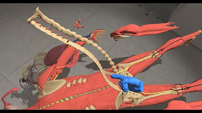 Human Constructor VR