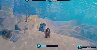 Waters