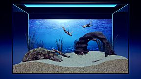 Machorium -Muscle Aquarium Simulator-