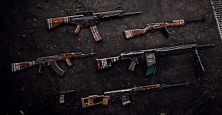Insurgency: Sandstorm - Clear Sight Bundle