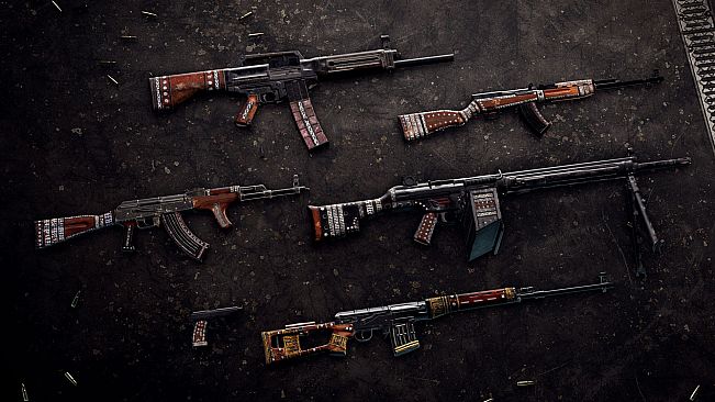 Insurgency: Sandstorm - Clear Sight Bundle