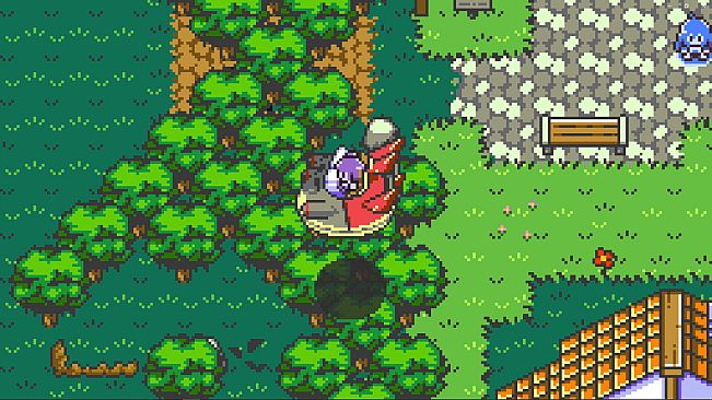 Dokimon: The Great Fairy Island
