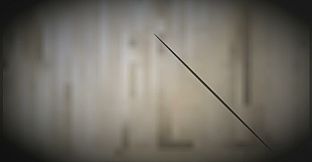 What Is Sleeping In My Room?