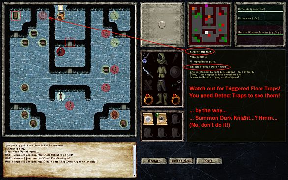 Lord of the Dark Castle