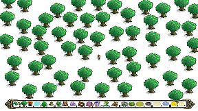 奇迹世界 miracle world