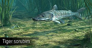 Ultimate Fishing Simulator - Amazon River DLC