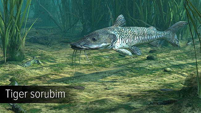 Ultimate Fishing Simulator - Amazon River DLC