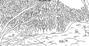 Looking For Cats In a Badly Drawn Forest – Extra Content