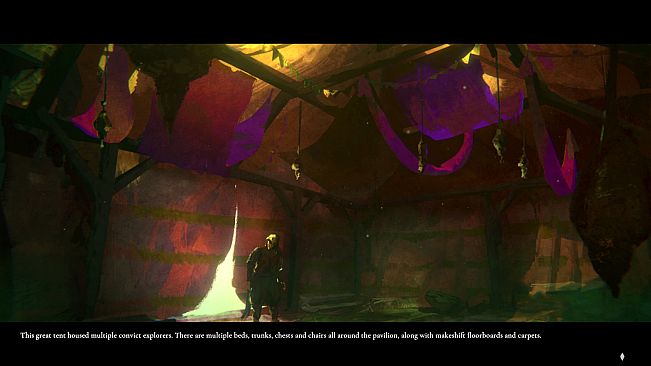 Where Birds Go to Sleep