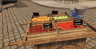 Street Vendor's Journey