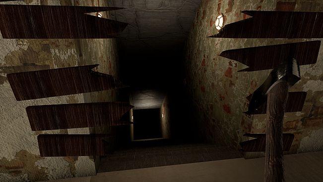 What Hides in Dreams