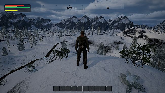 Der Pfad des Pinguins