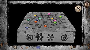 Magnus Positive Phototaxis