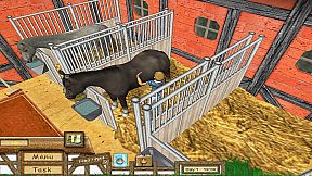 My Riding Stables: Your Horse world