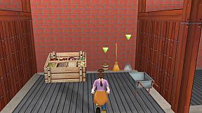 Die drei Freunde von der Reitschule