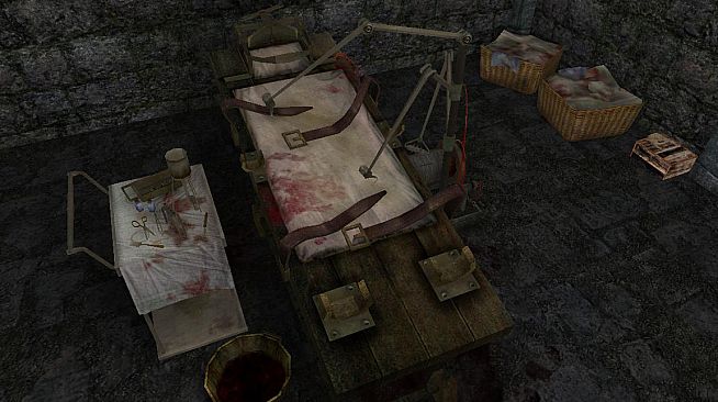 Sherlock Holmes: The Awakened (2008)