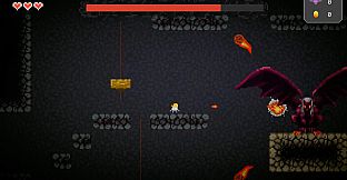 Behind Closed Doors: A Developer's Tale