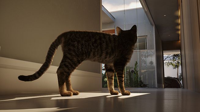 Whiskers of Yesterday
