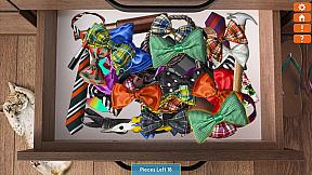 Just Find It Collector's Edition