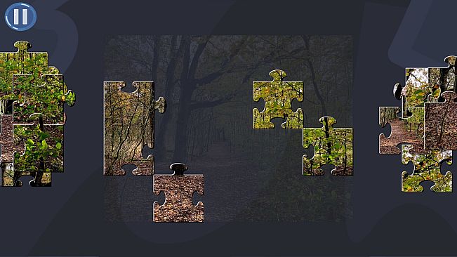 Virtual Jigsaw Puzzles