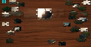 Gunship Recon - Character Puzzles