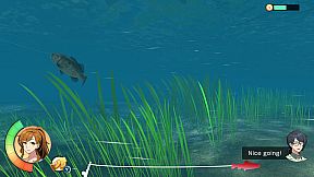 Reel Fishing: Days of Summer