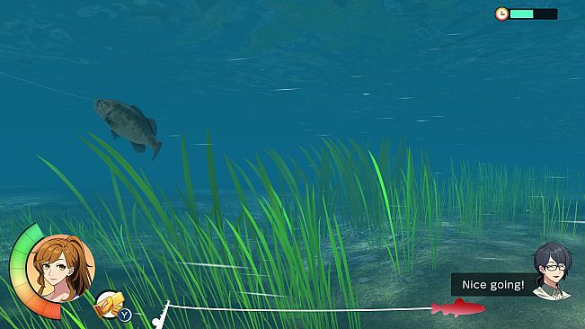 Reel Fishing: Days of Summer