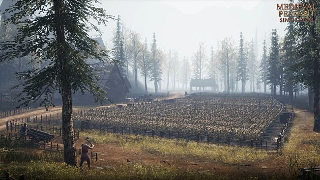 Medieval Peasant Simulator