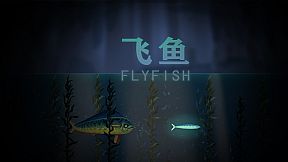 Fly Fish