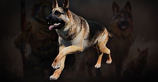 Icarus: Pet Companions Pack