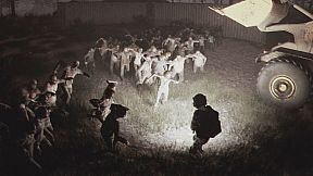 Night of the Dead Simulator