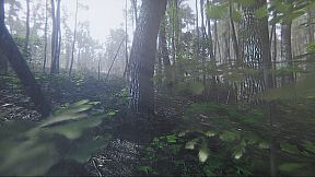 Mindfulness Simulator - ASMR Meditation Game