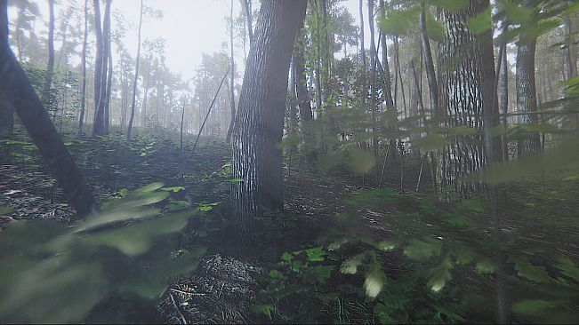 Mindfulness Simulator - ASMR Meditation Game