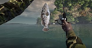 Ultimate Fishing Simulator - Thailand DLC
