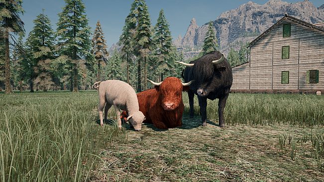 Ranch Simulator: Highland Cows Pack - Build, Farm, Hunt