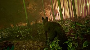 The End: Inari's Quest