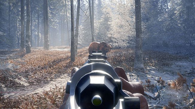 theHunter: Call of the Wild - Hunter Power Pack