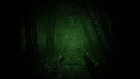 Shizuoka Curse | 静岡の呪い