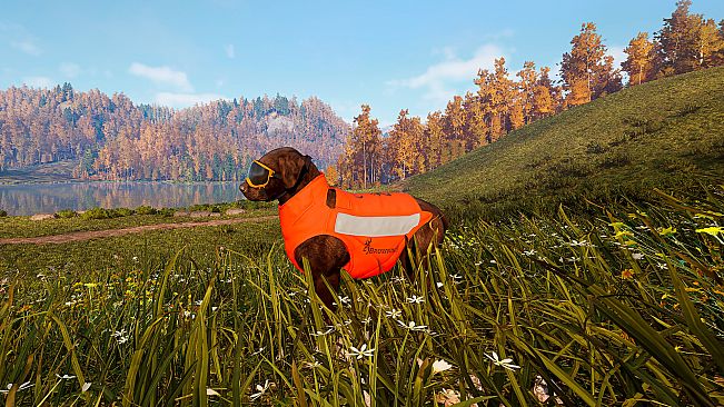 Hunting Simulator 3 - Apex Predator Pack