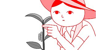 KUUKIYOMI: Consider It World - Thailand Ver.