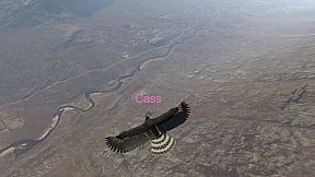 Aquila Bird Flight Simulator