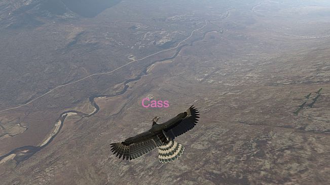 Aquila Bird Flight Simulator