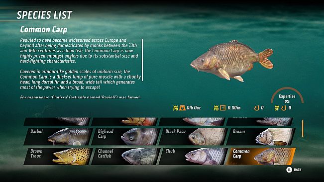 The Catch: Carp & Coarse - Collector's Edition