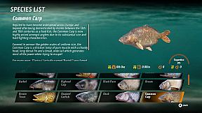 The Catch: Carp & Coarse Fishing