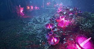 Dragonkin: The Banished