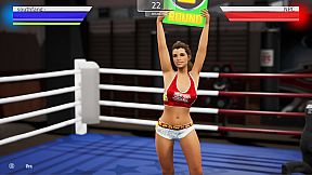 Cyber Fight Challenge