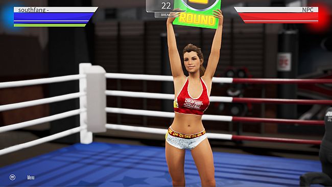 Cyber Fight Challenge