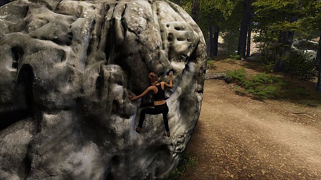 New Heights: Realistic Climbing and Bouldering