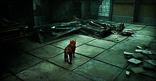 Meowmories -meowmare adventure-