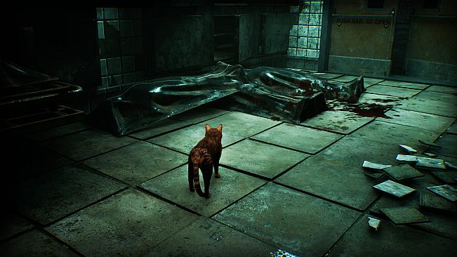 Meowmories -meowmare adventure-